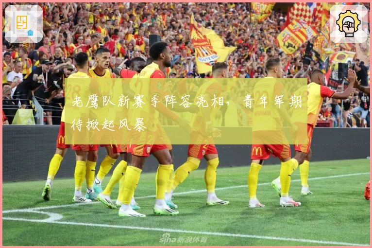 老鹰队新赛季阵容亮相，青年军期待掀起风暴