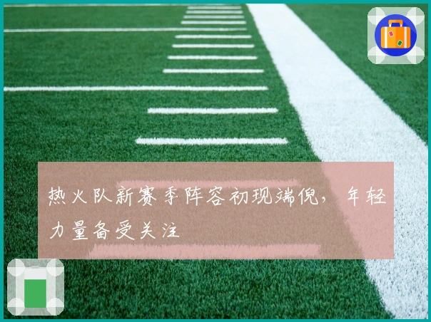 热火队新赛季阵容初现端倪，年轻力量备受关注