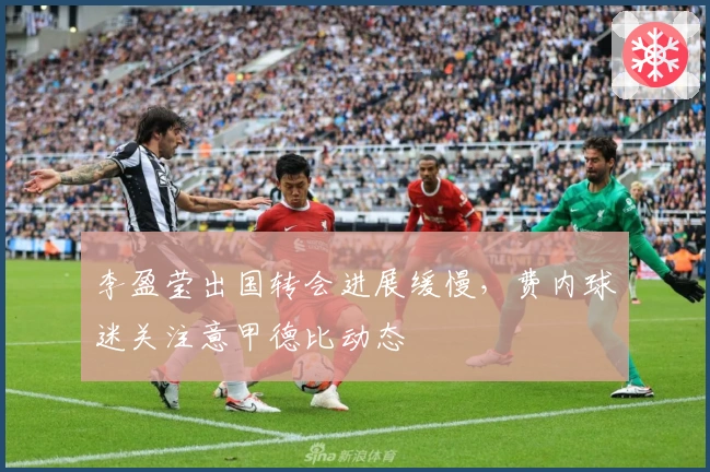 李盈莹出国转会进展缓慢，费内球迷关注意甲德比动态